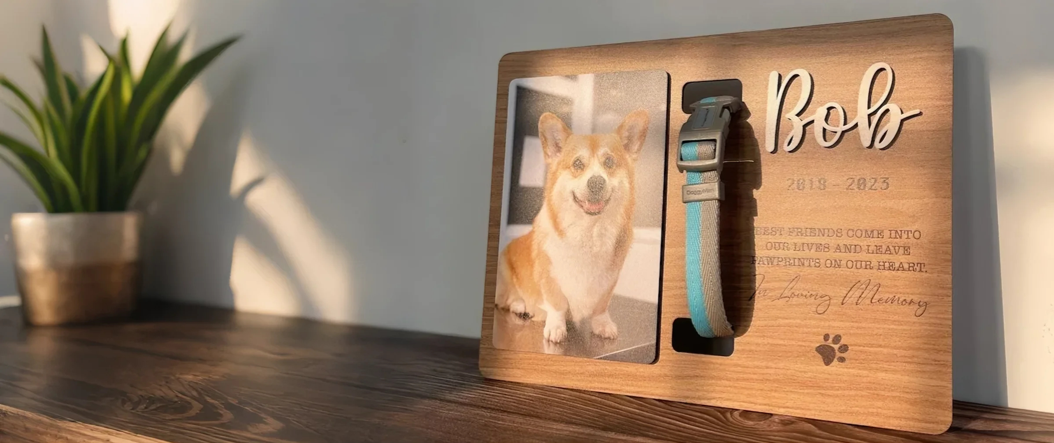 slider image 1621243260e1af0c20-0